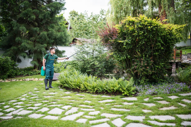 Best Pest Prevention Services  in Brady, TX