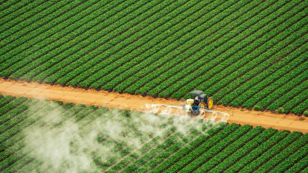 Best Pest Control for Restaurants  in Brady, TX
