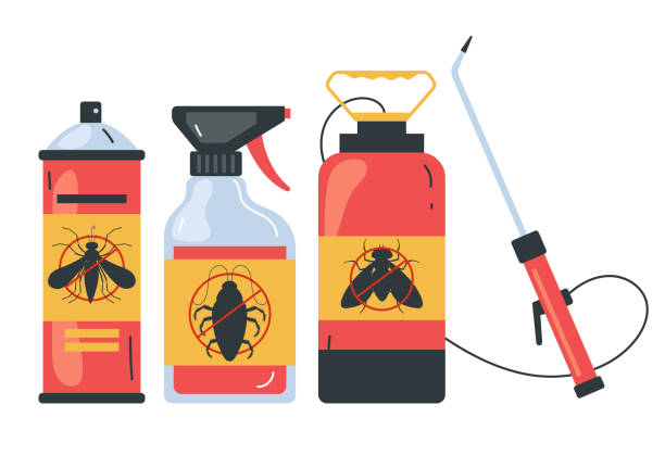 Best Ant Control Services  in Brady, TX